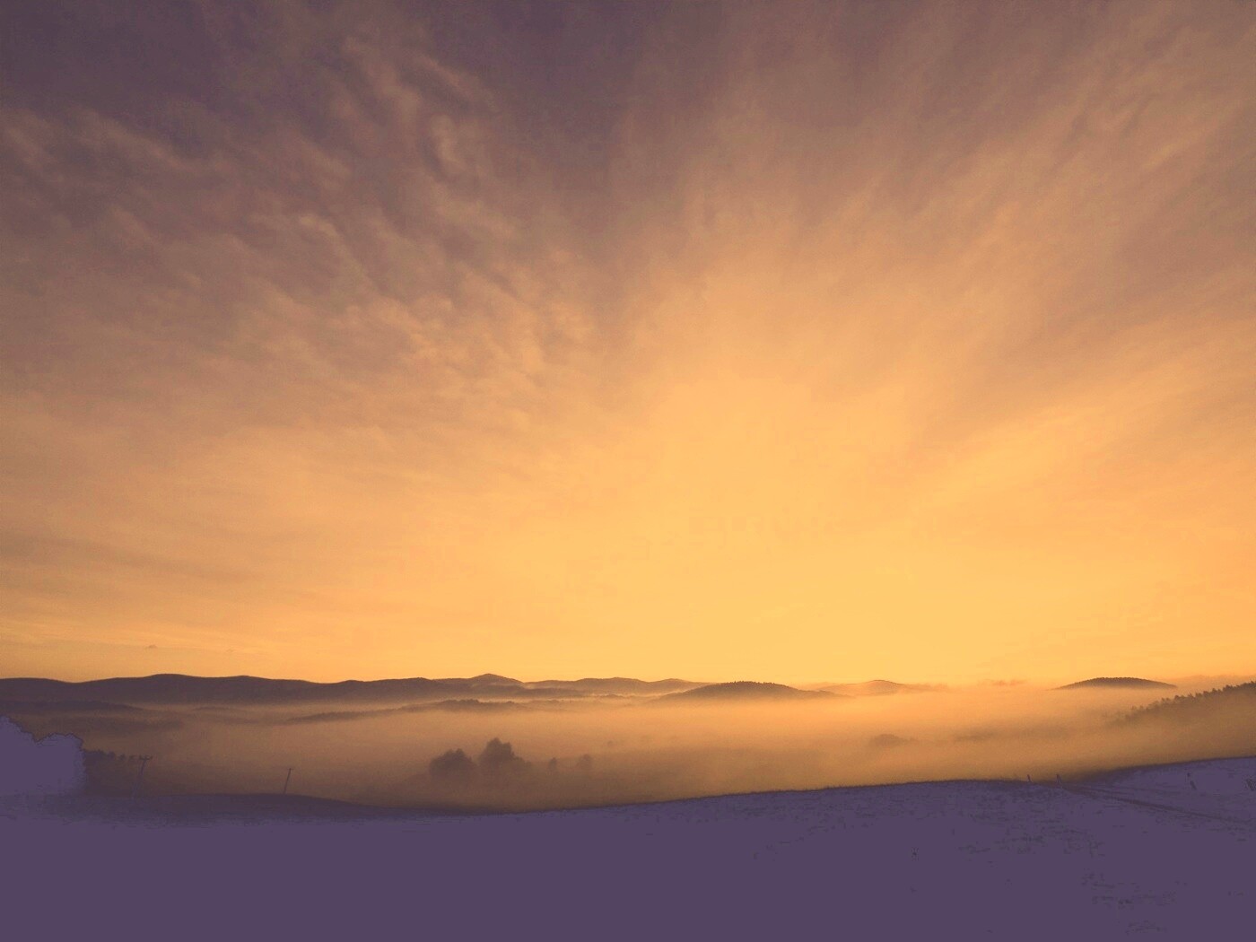 Утренний туман обои