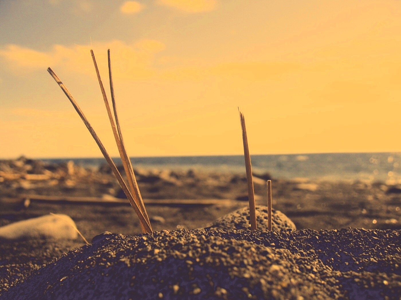 Солома на океанском берегу обои