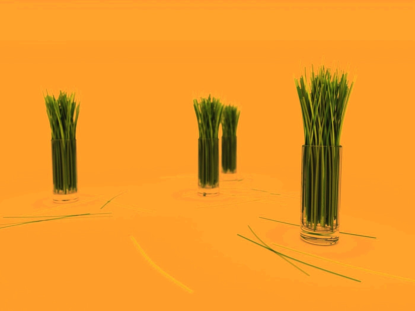 Трава в стакане обои