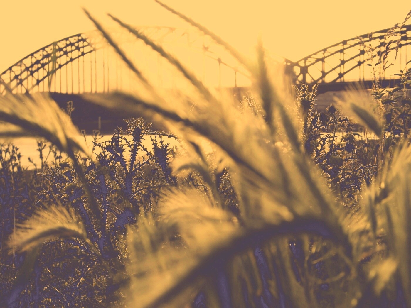 Железнодорожный мост обои