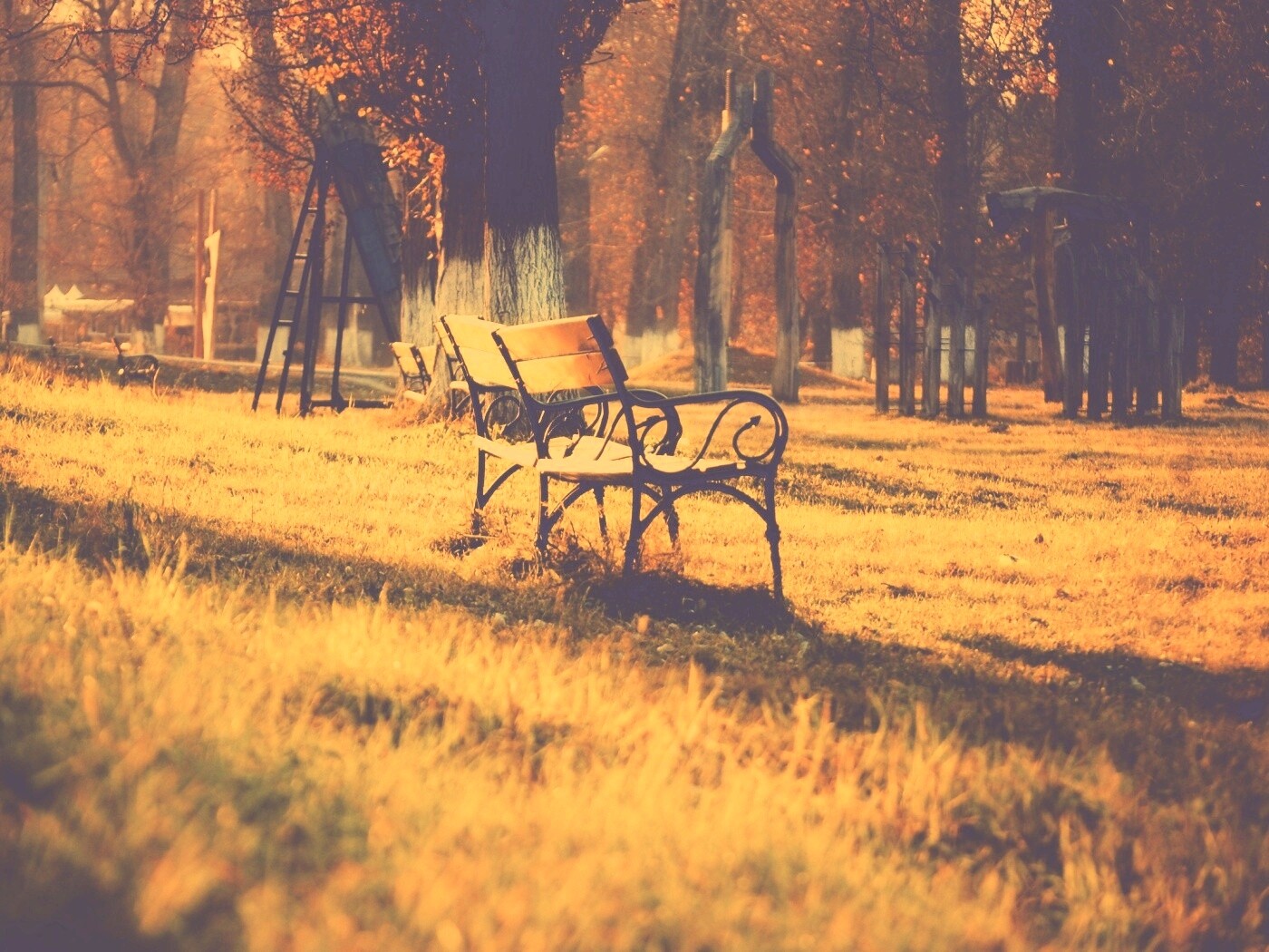 Скаймейка в осеннем парке обои