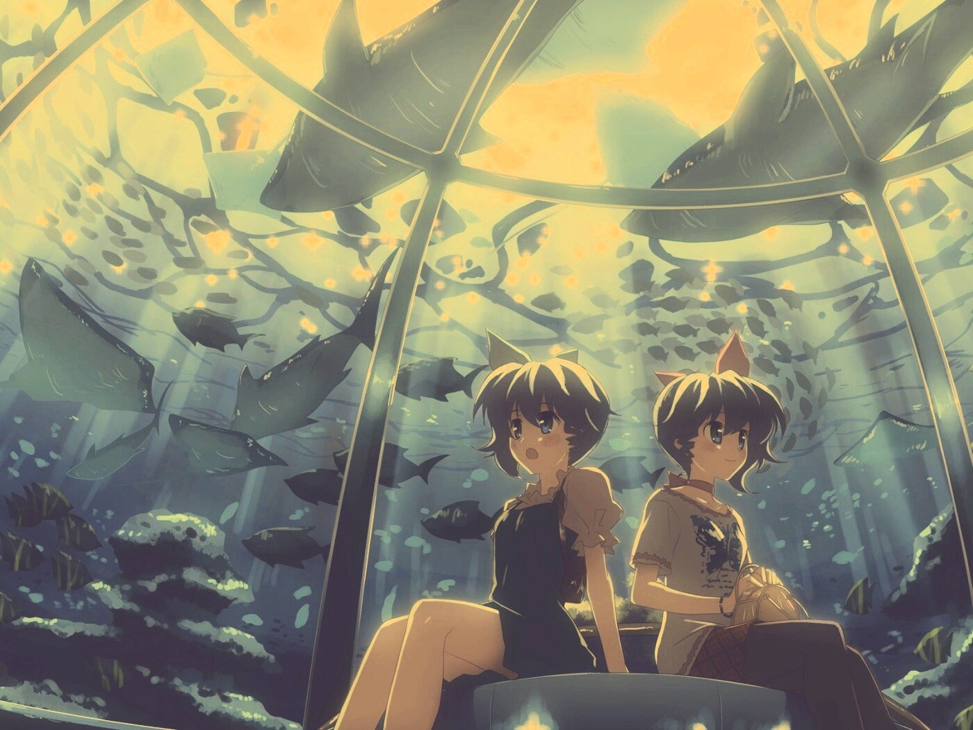 В океанариуме обои