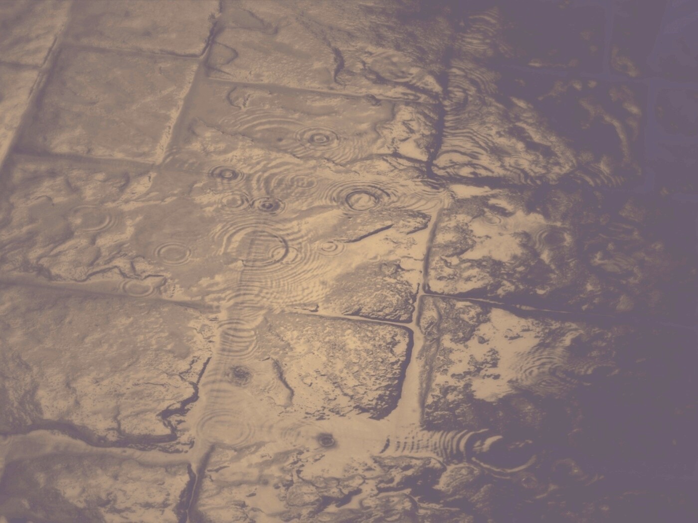 Дождь на мостовой обои