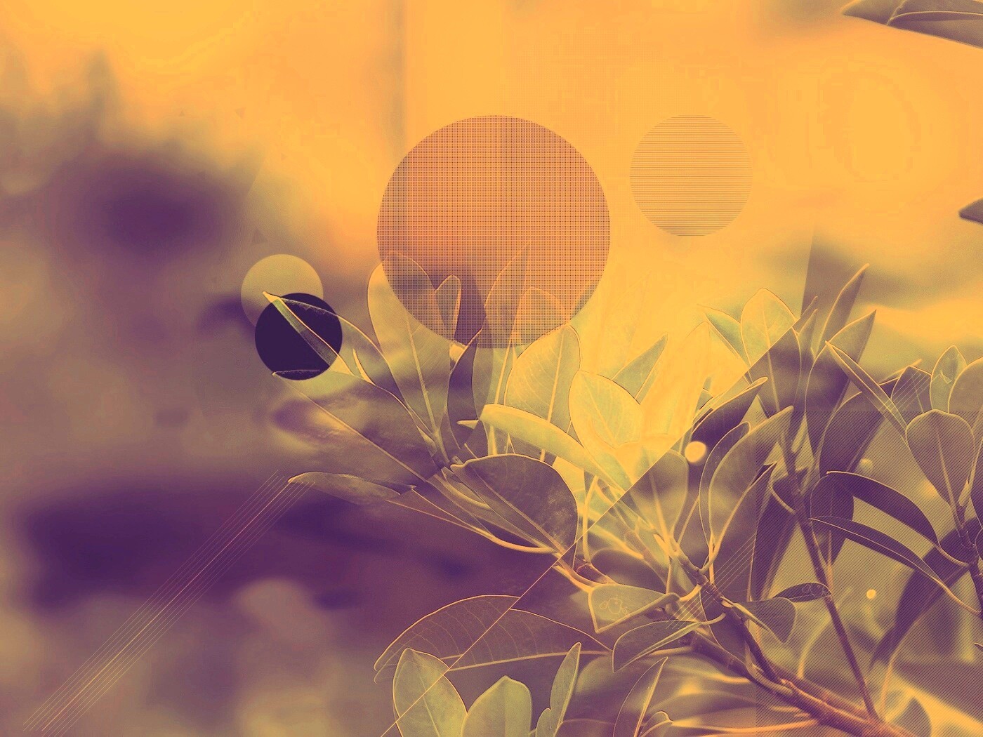 Синий фильтр с кргуами на фото листьев обои