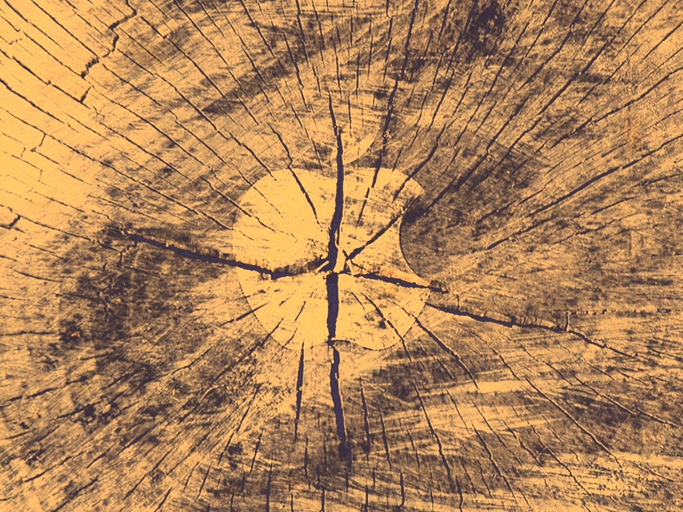 Логотип Apple на бревне обои