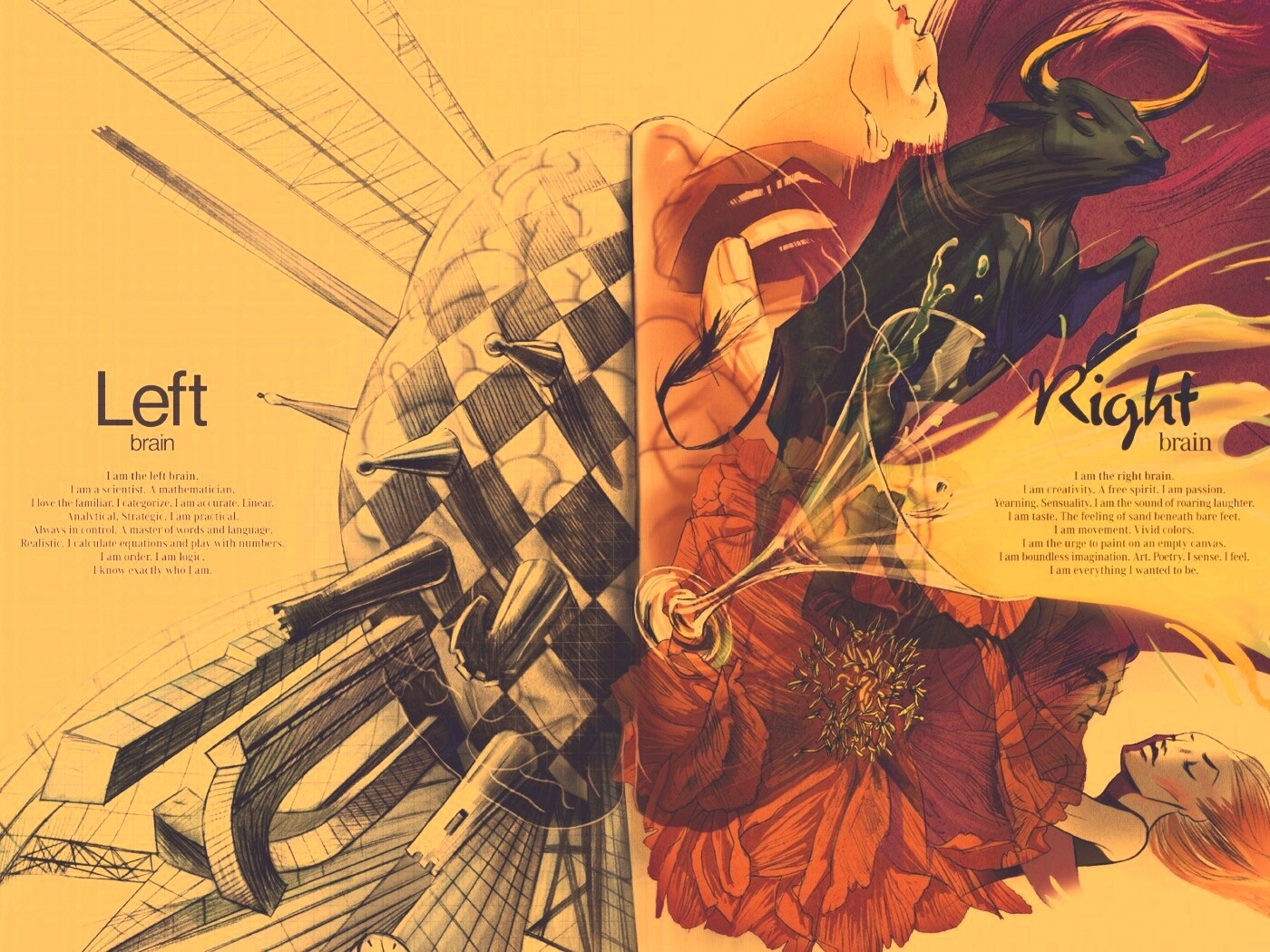 Левая и правая часть мозга обои