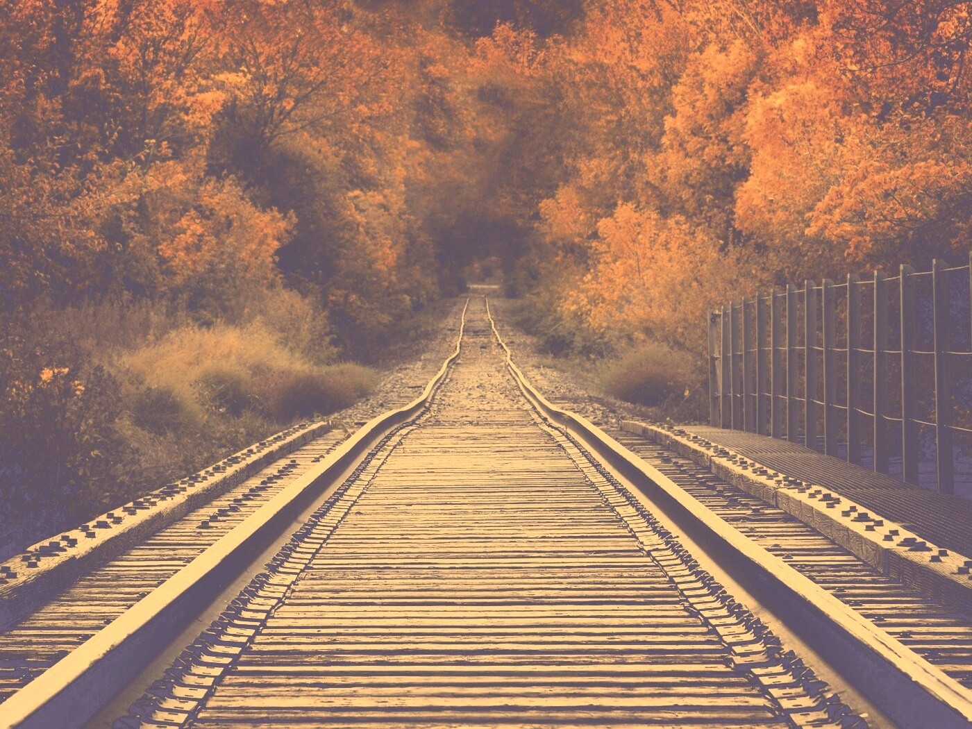 Железная дорога в осеннем лесу обои