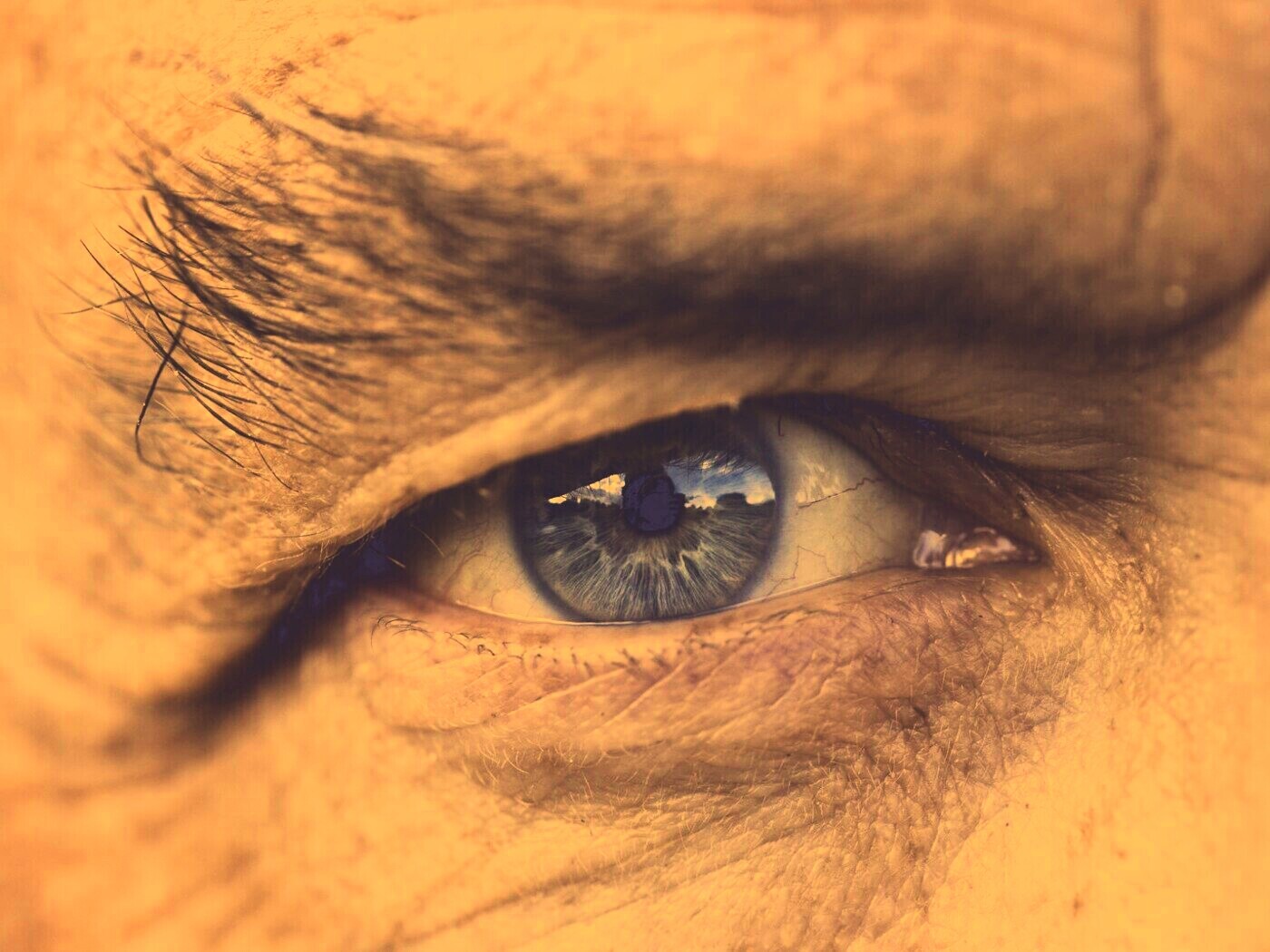 Глаз пожилого человека обои