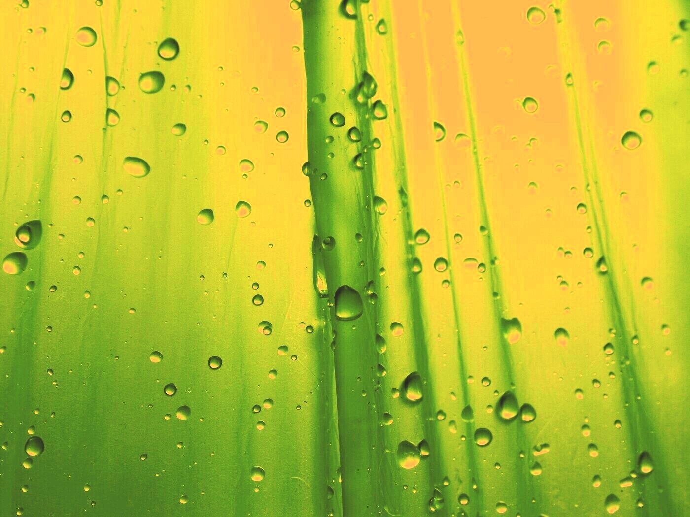 Капли на зеленом пластике обои