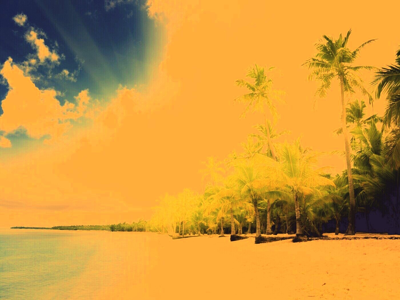 Тропическое побережье обои