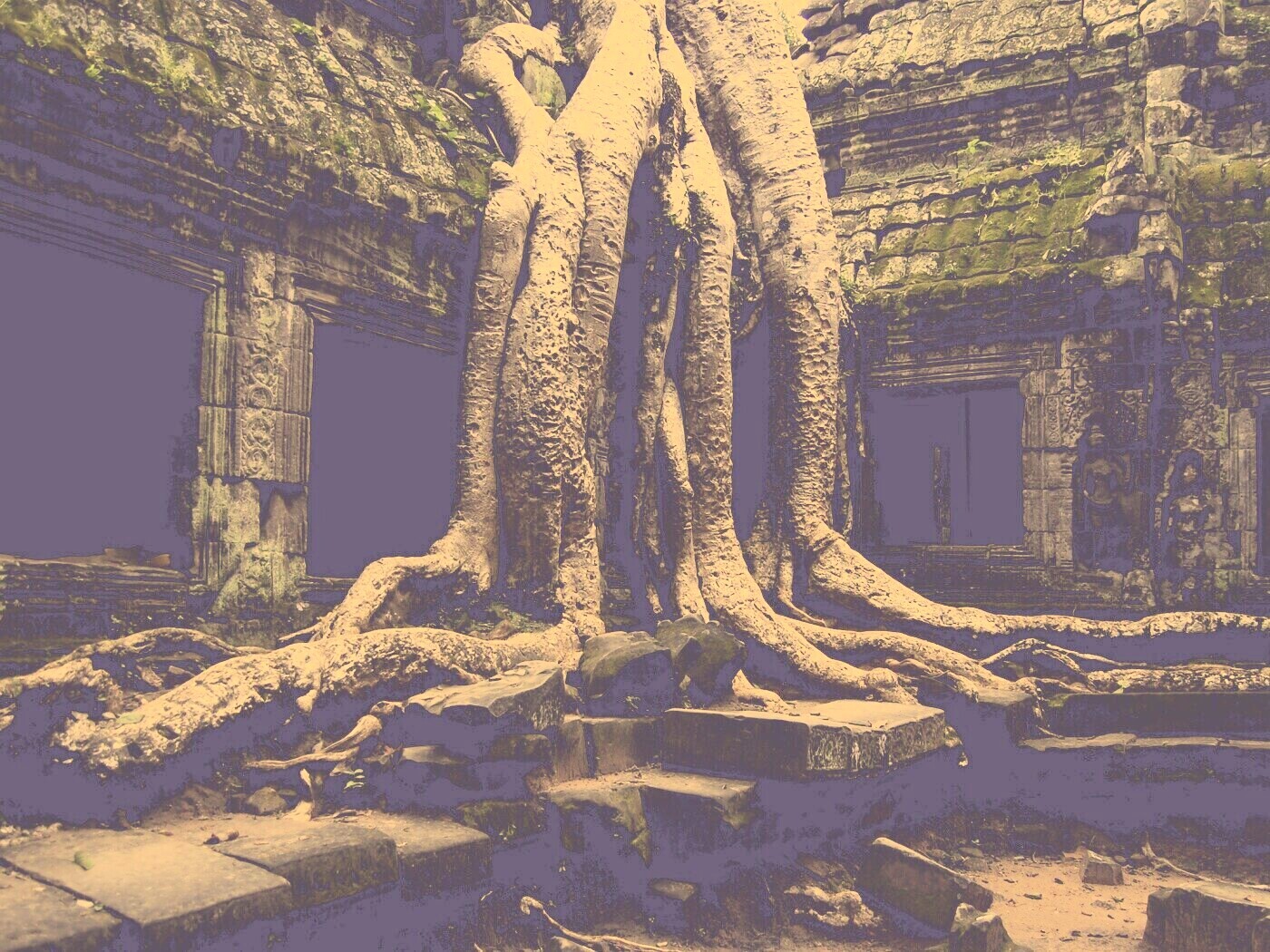 Мощные корни обои