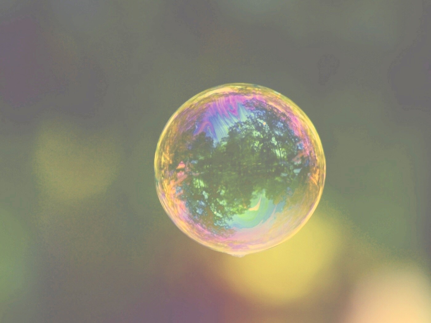 Мыльный пузырь обои