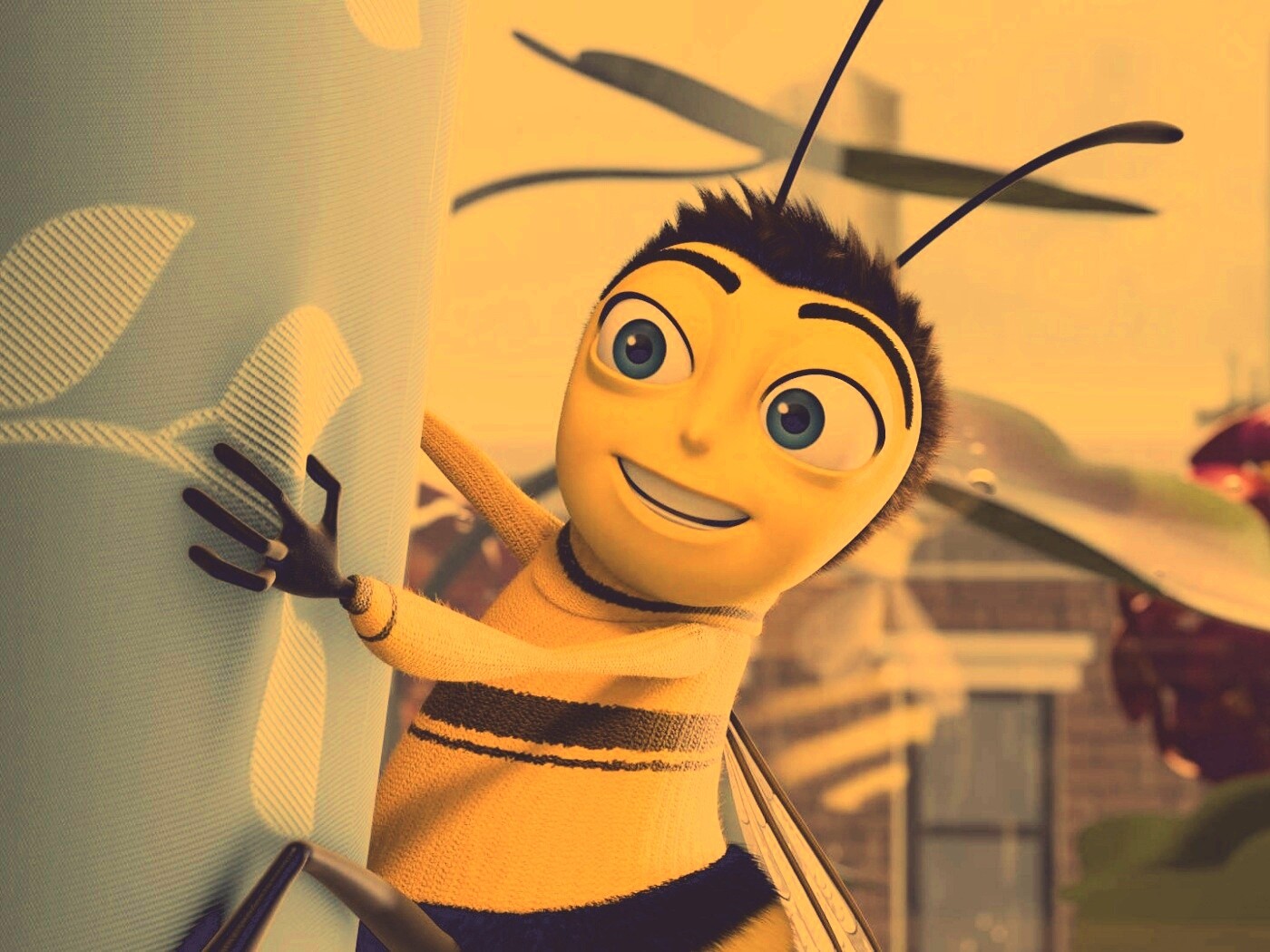 Бимуви обои