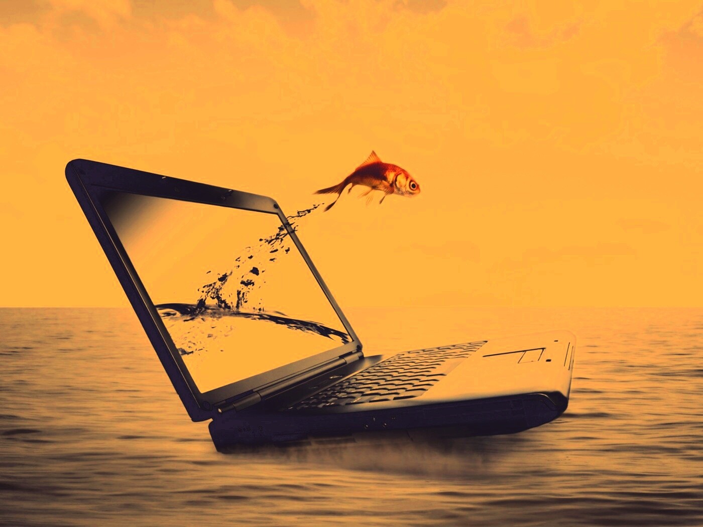 Золотая рыбка обои