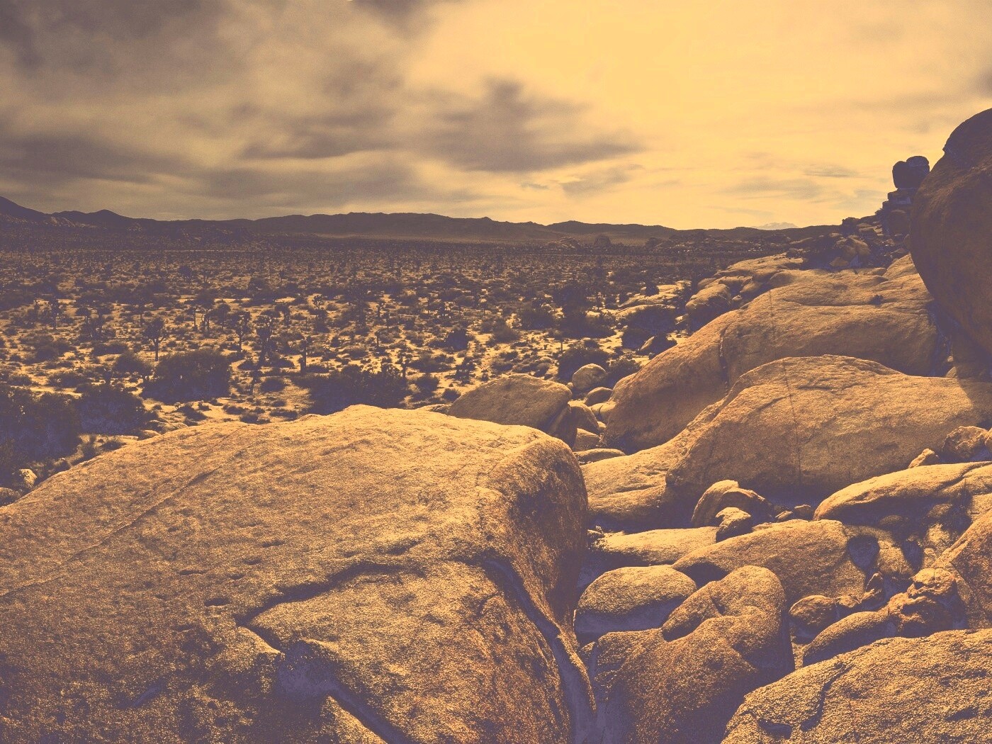 Пустыня Мохаве обои