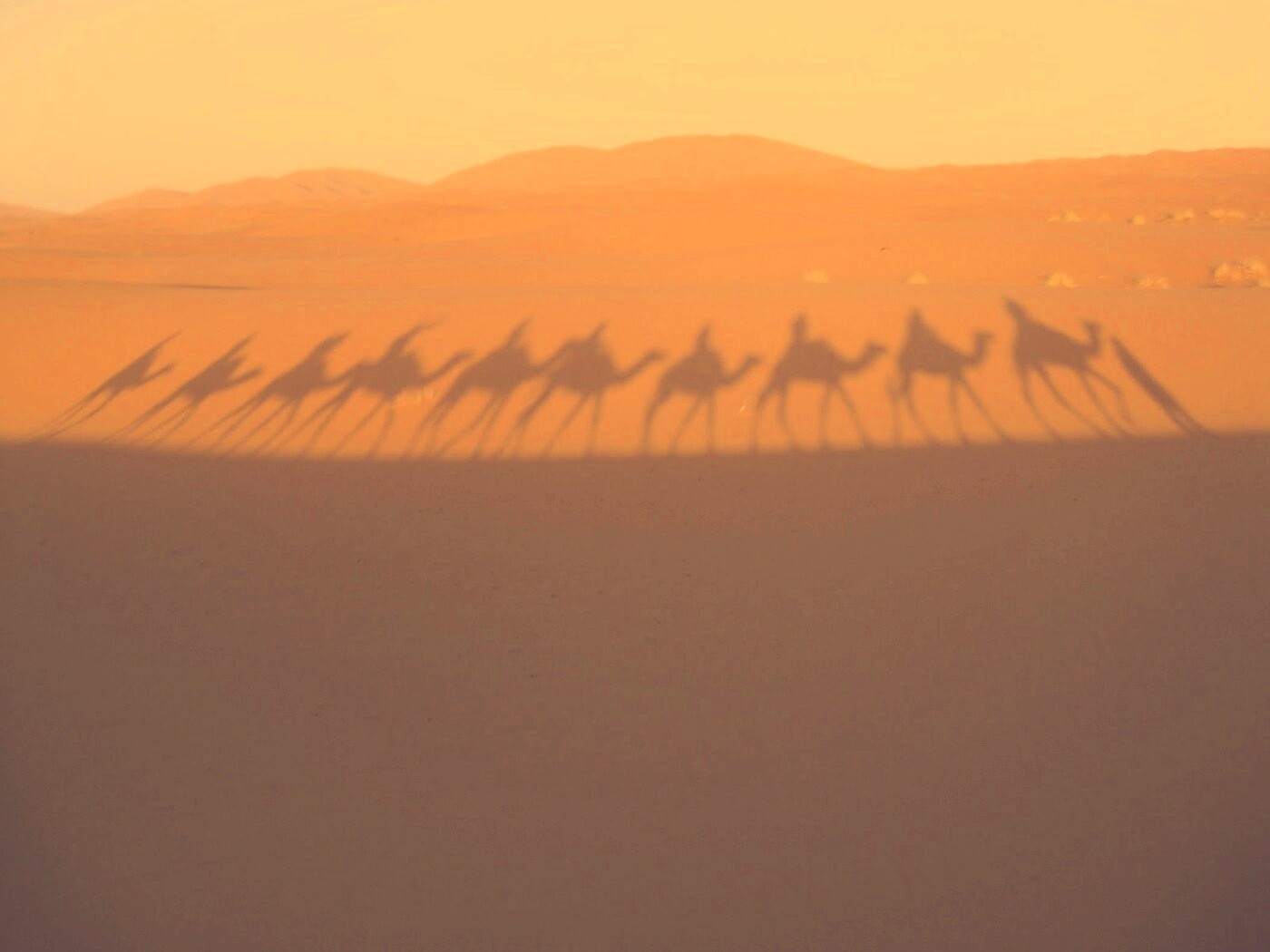 Караван обои