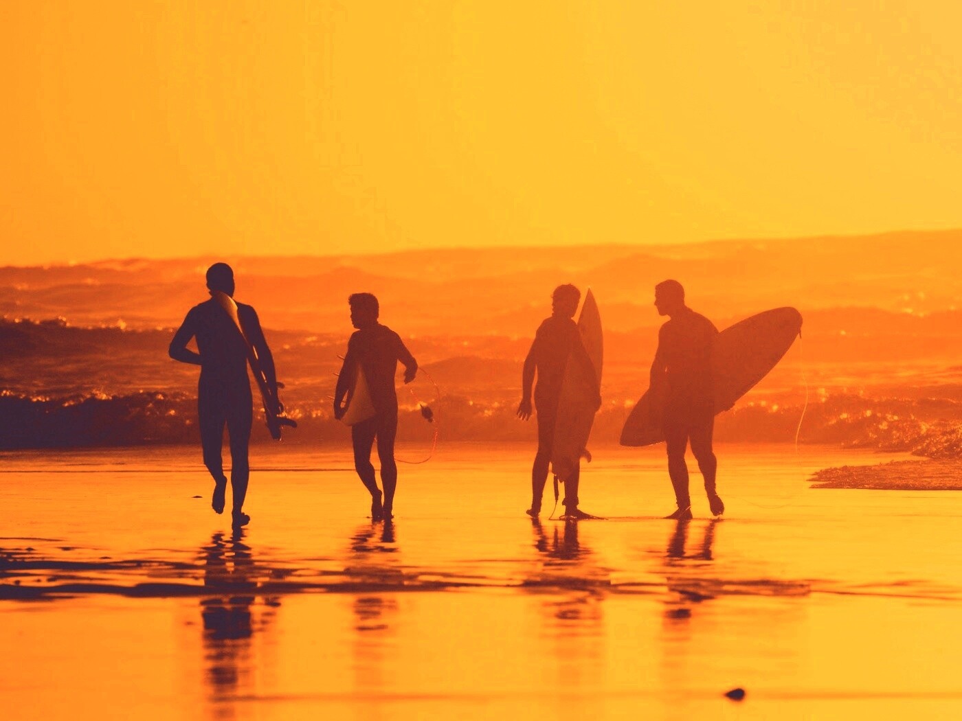 Серфингисты обои