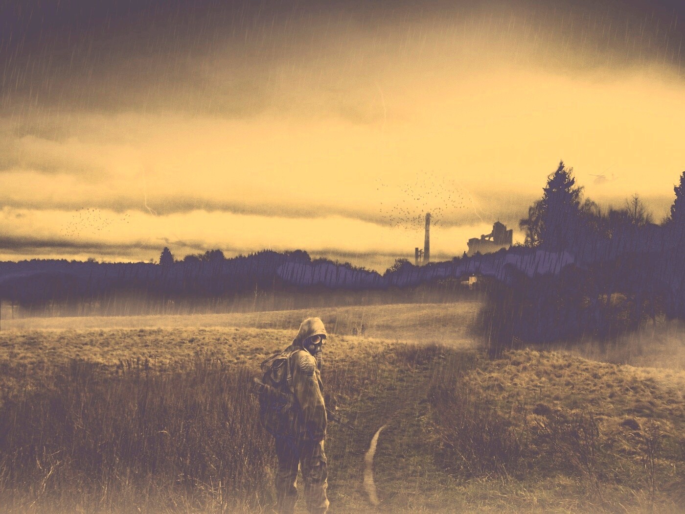 Сталкер под дождем обои