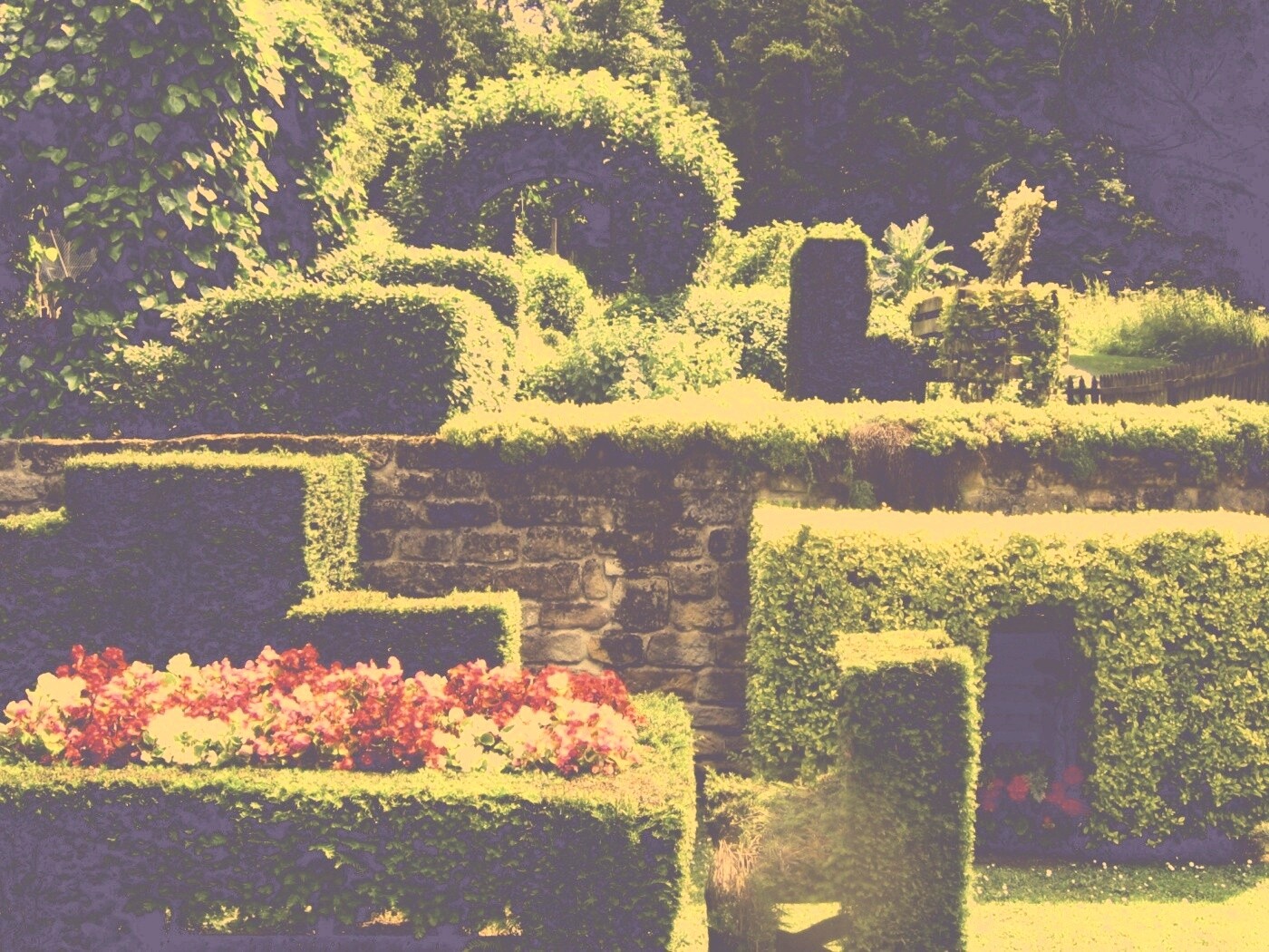 Декоративный сад обои