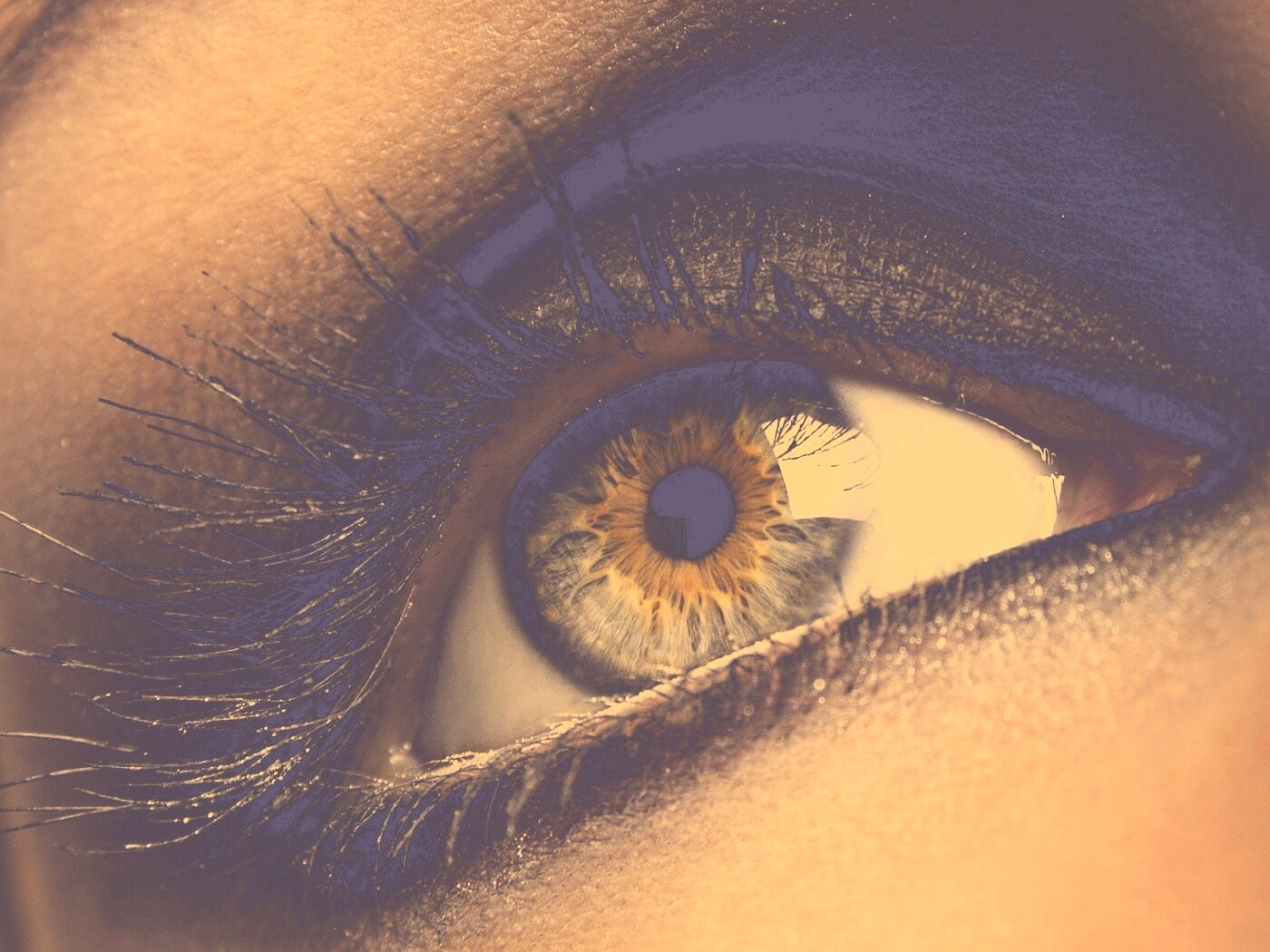 Оранжевый глаз обои