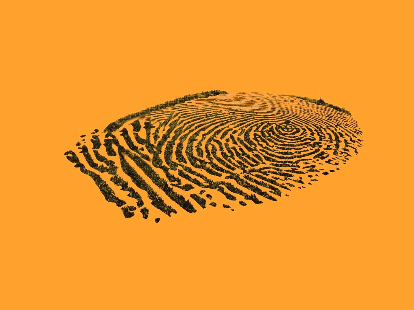 Отпечаток пальца обои