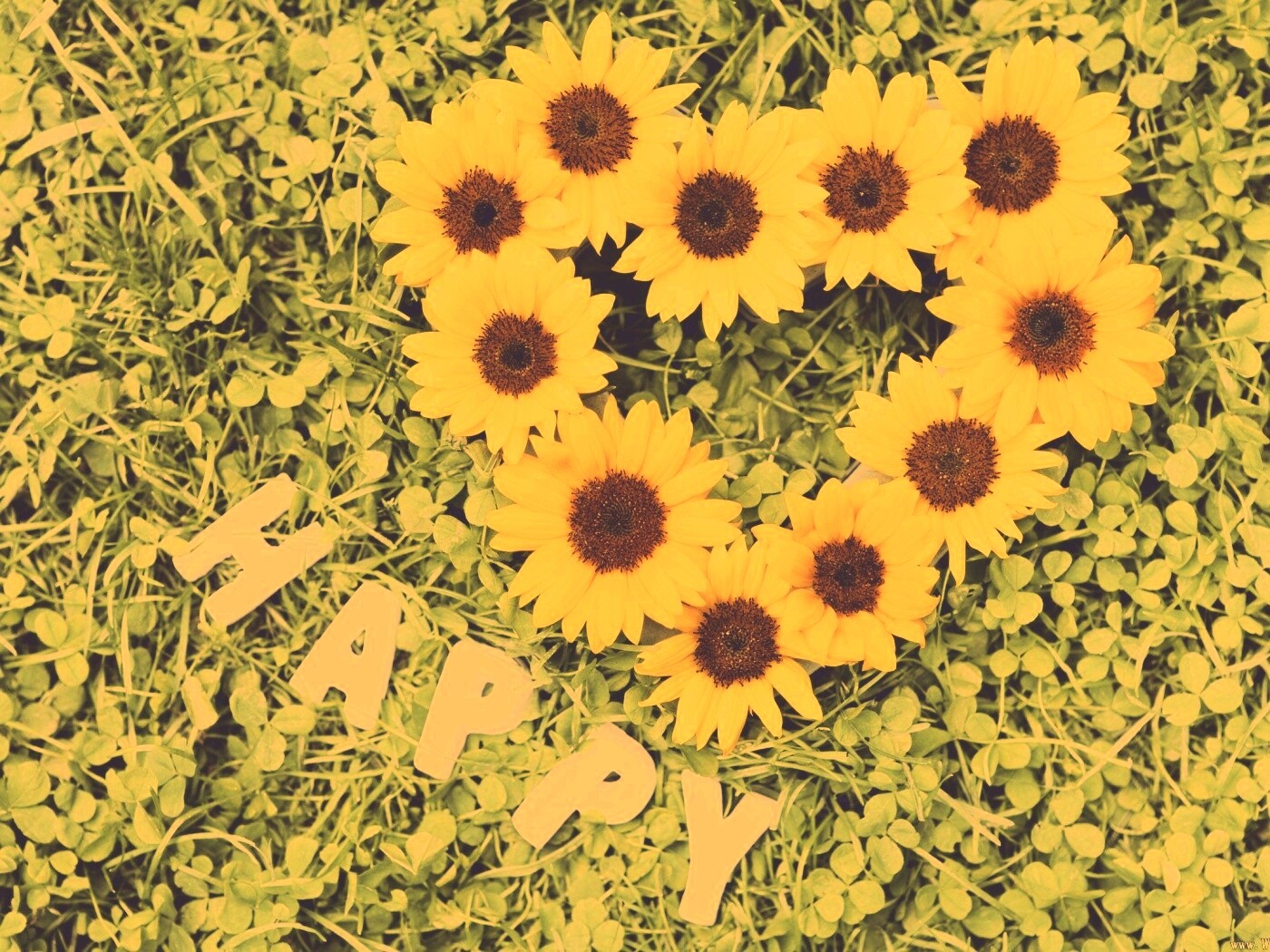 Радость обои