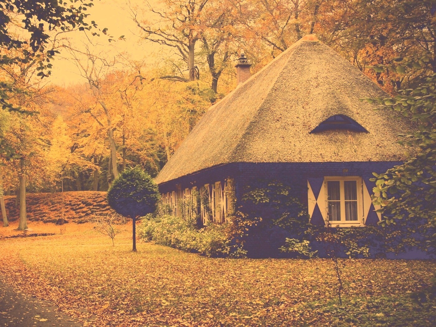 Домик в осеннем лесу обои