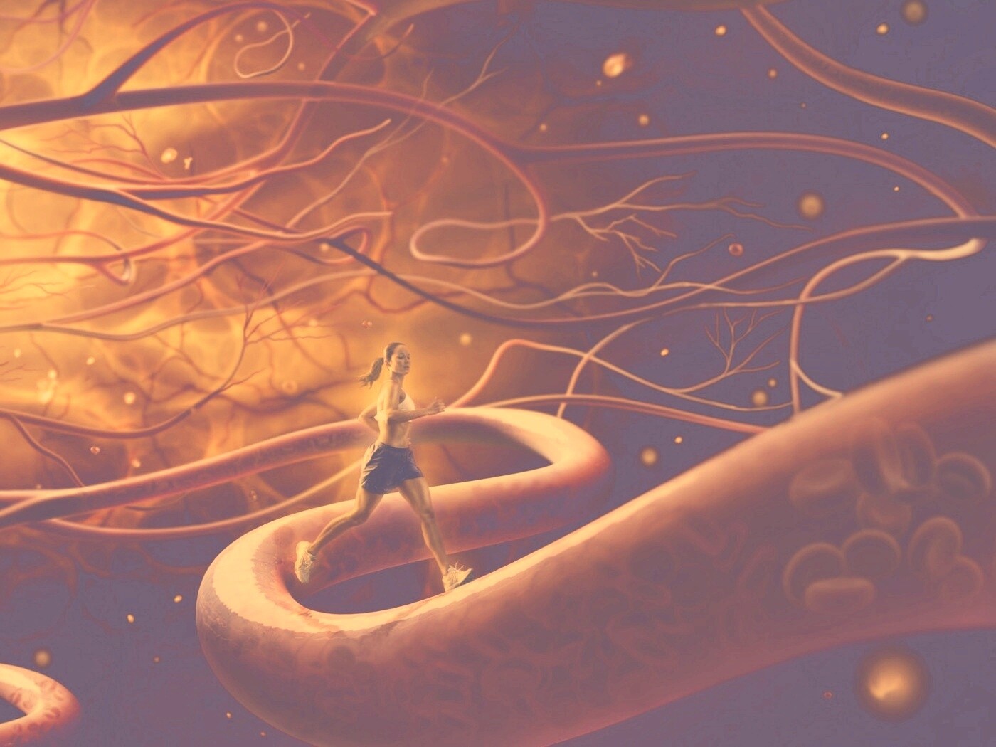 Бег крови обои