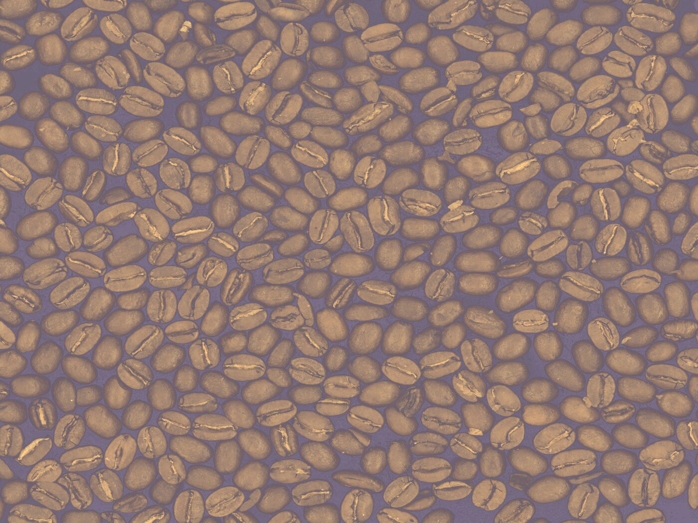 Зерна кофе обои