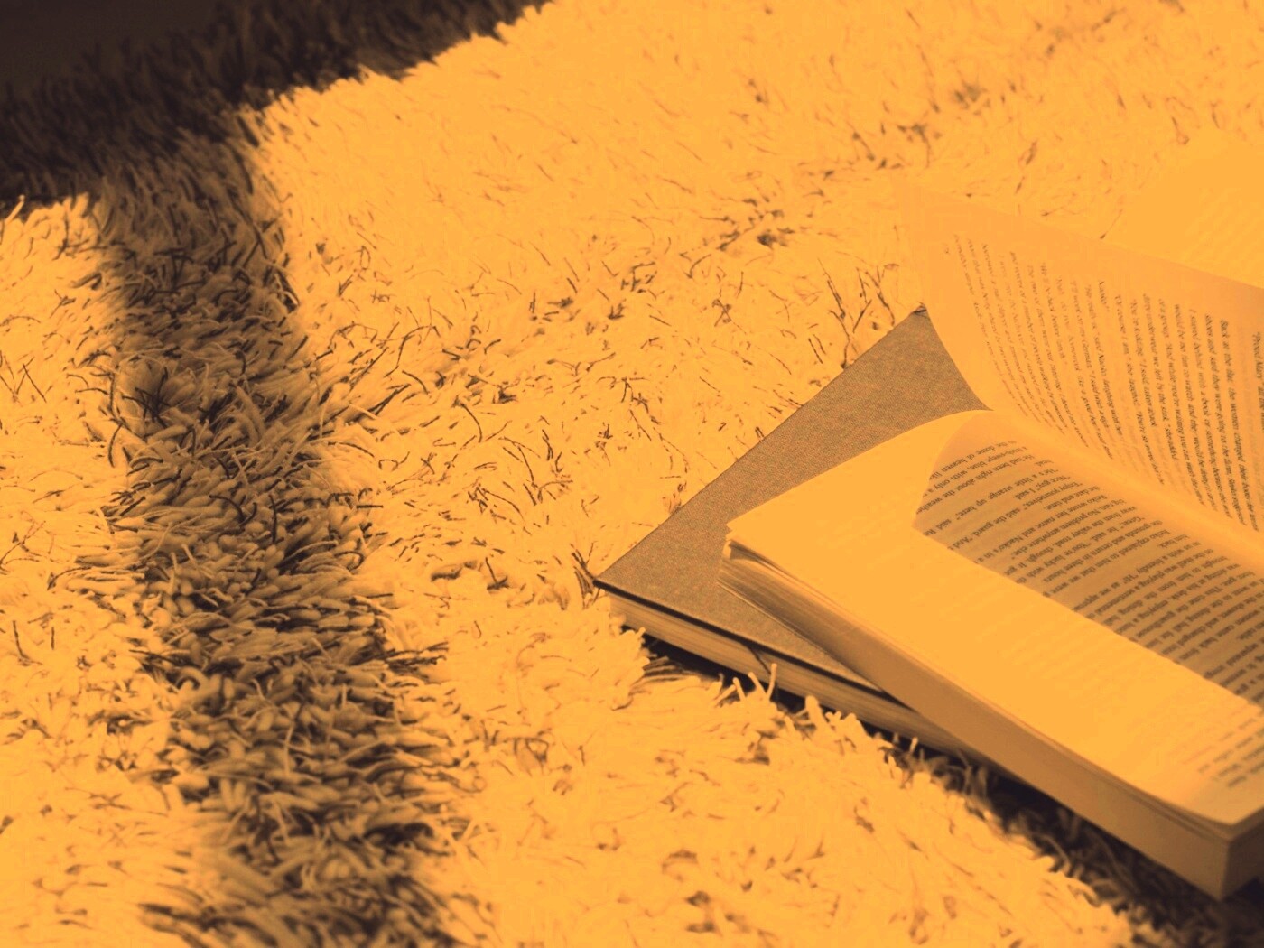 Книга на полу обои