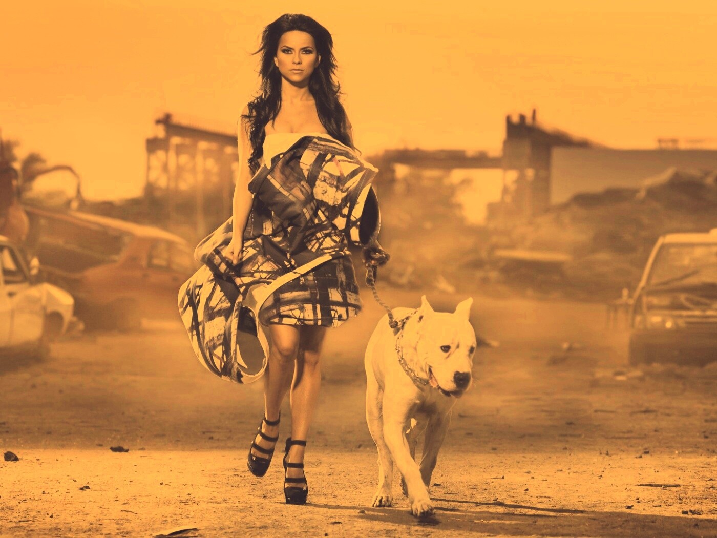 Девушка с питбулем обои