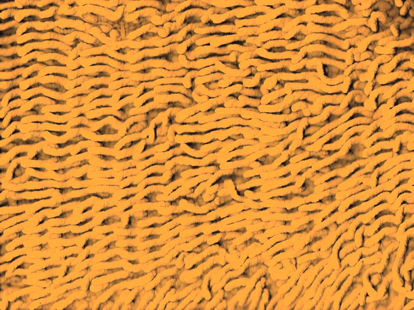 Ковер вблизи обои