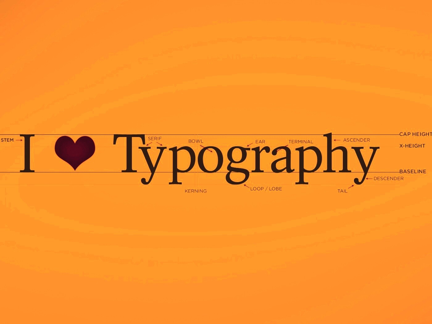 I love typography обои