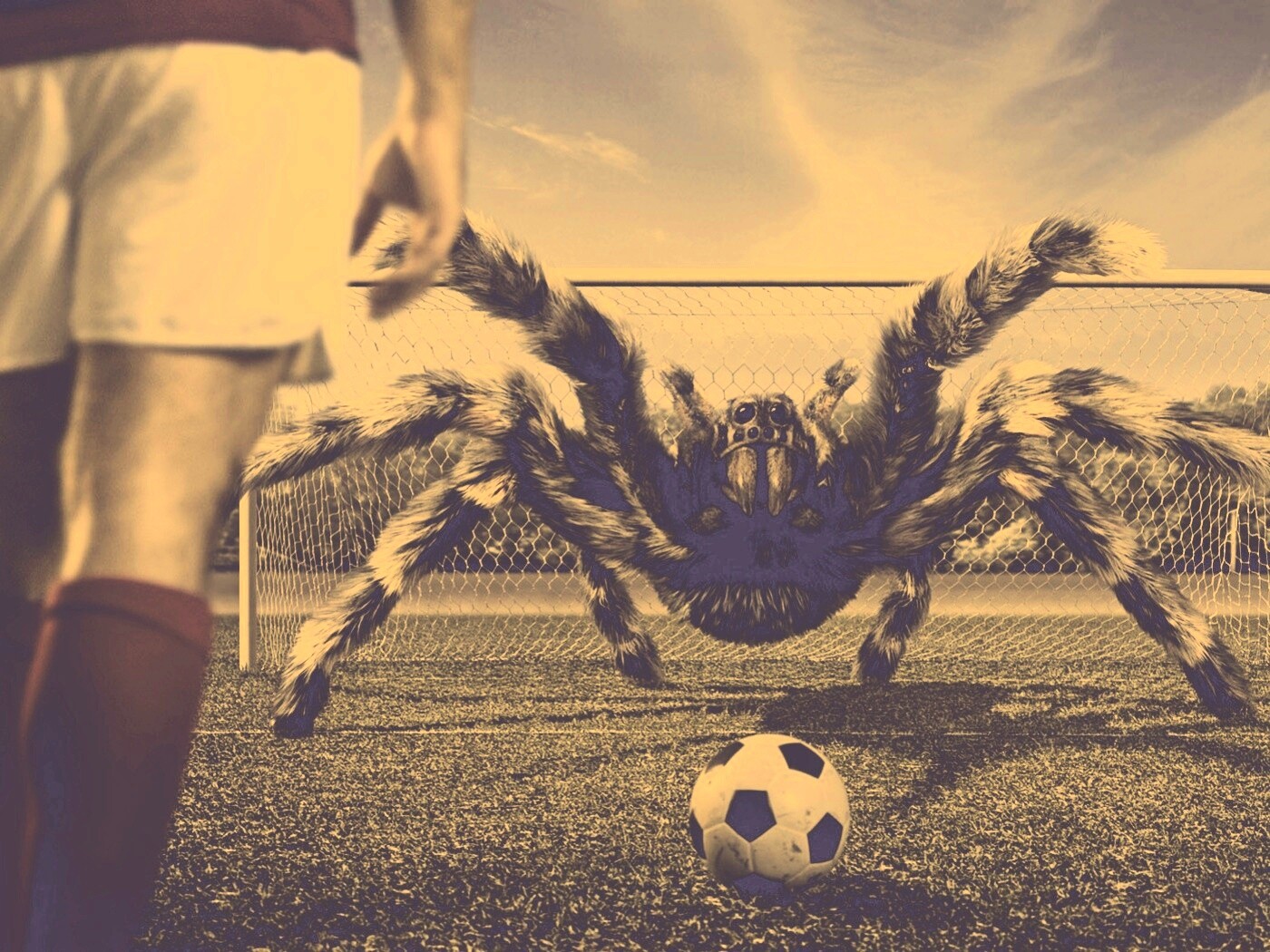 Вратарь обои