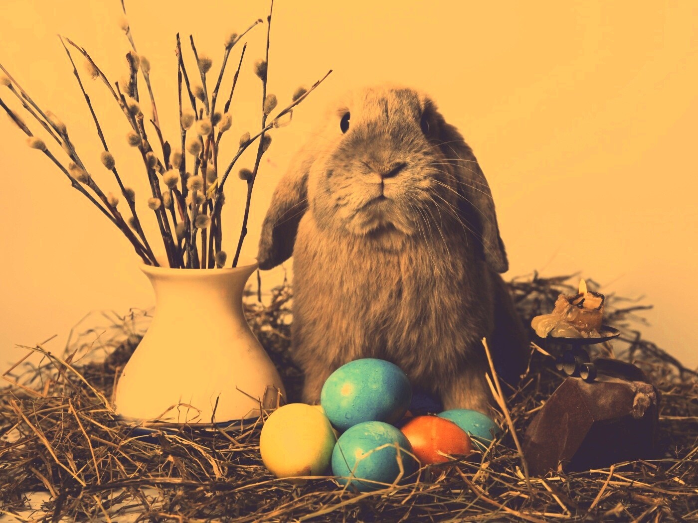 Пасхальный кролик обои