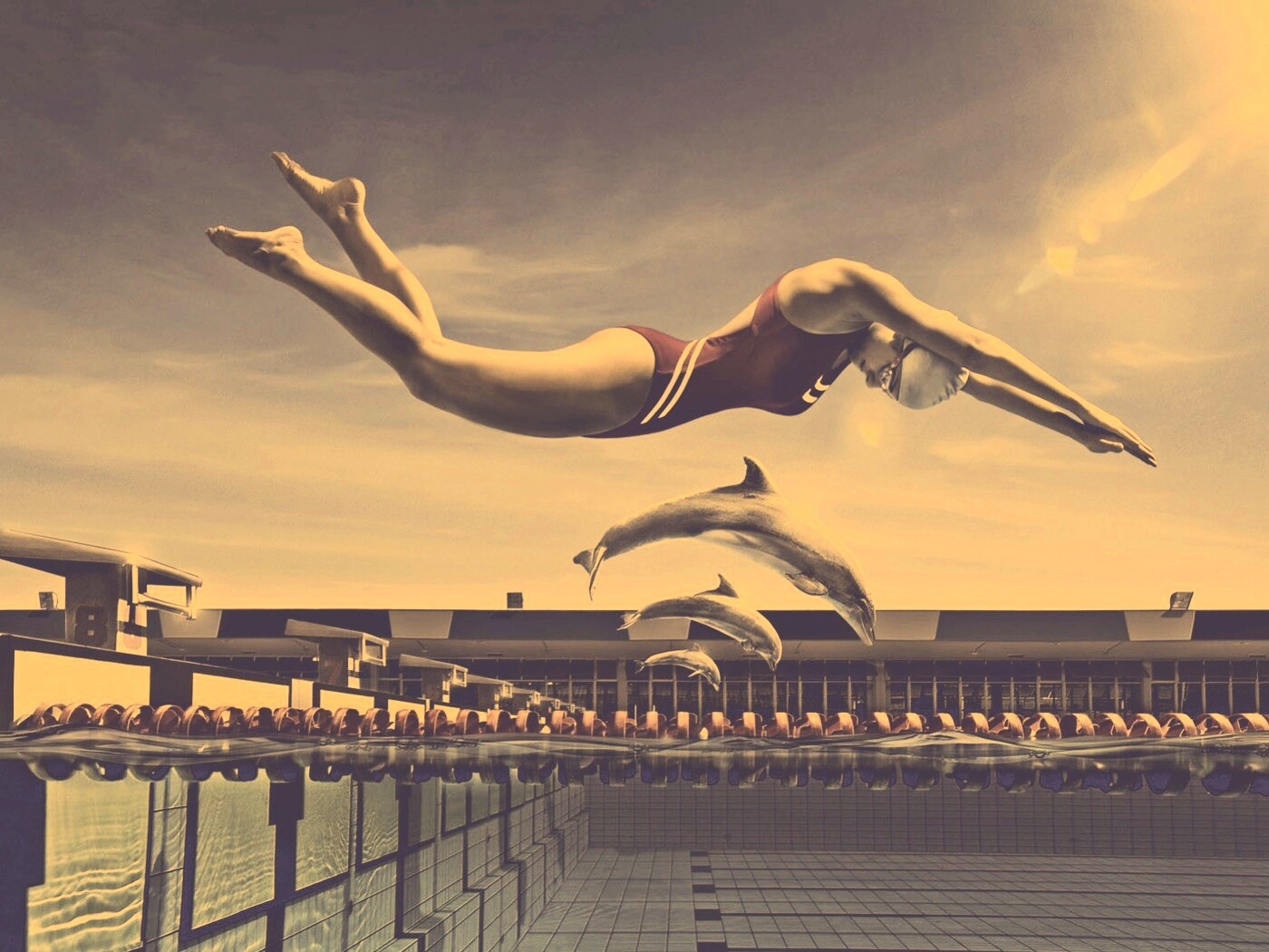 Соревнование обои