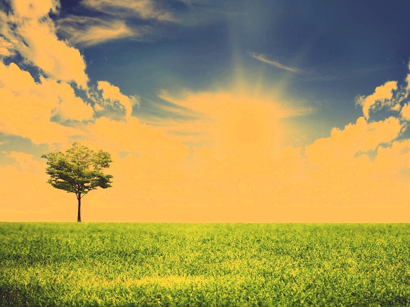 Один в целом мире обои