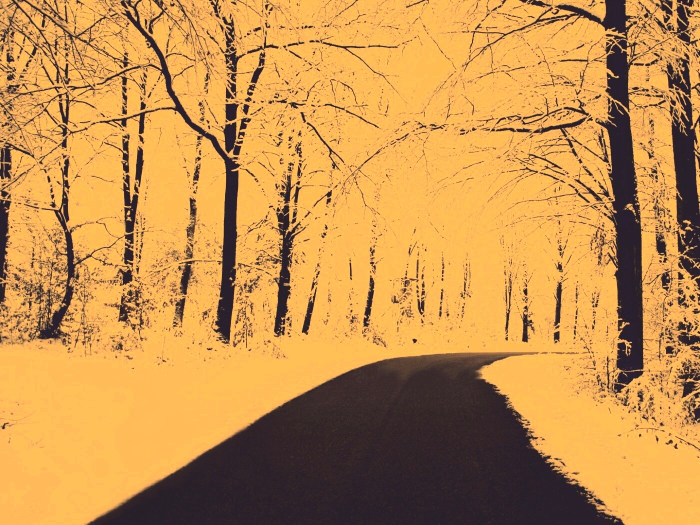 Дорога в зимнем лесу обои