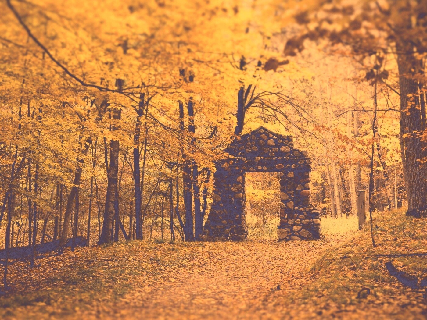 Каменная арка в осеннем лесу обои