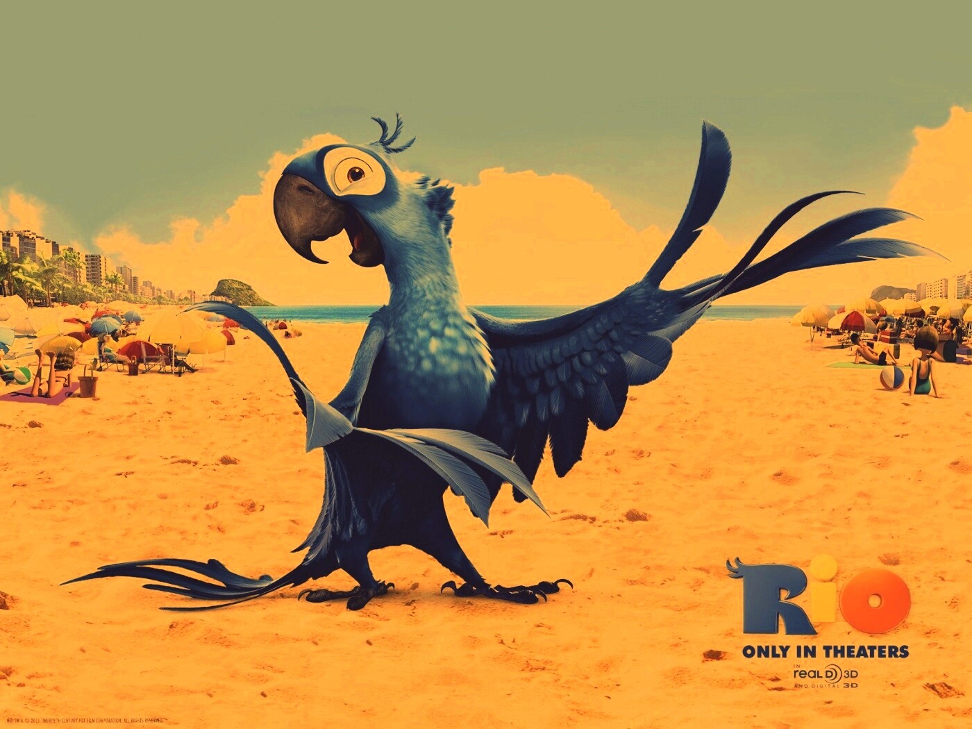 Blu из Rio обои