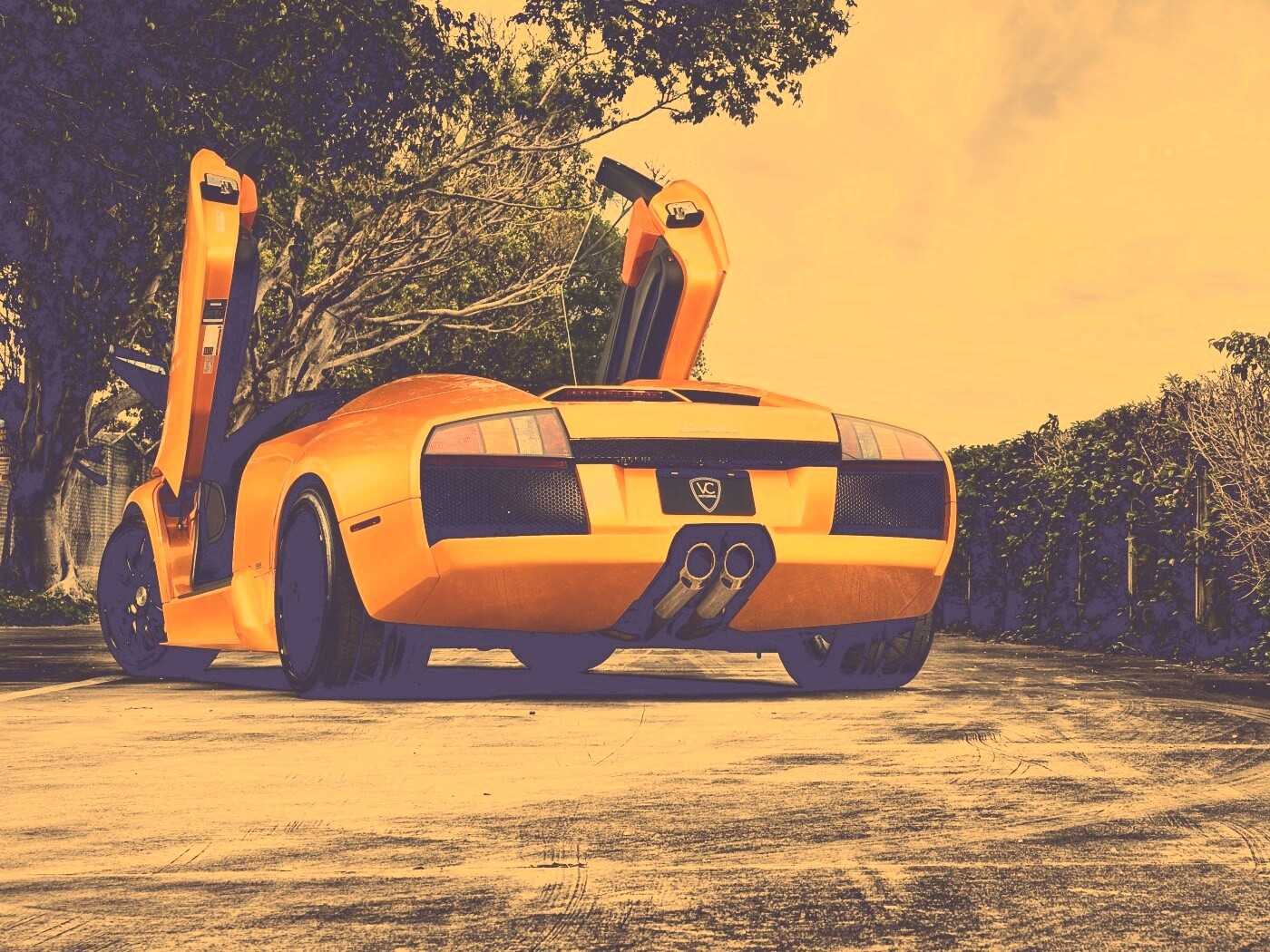 Оранжевая Мюрселаго обои