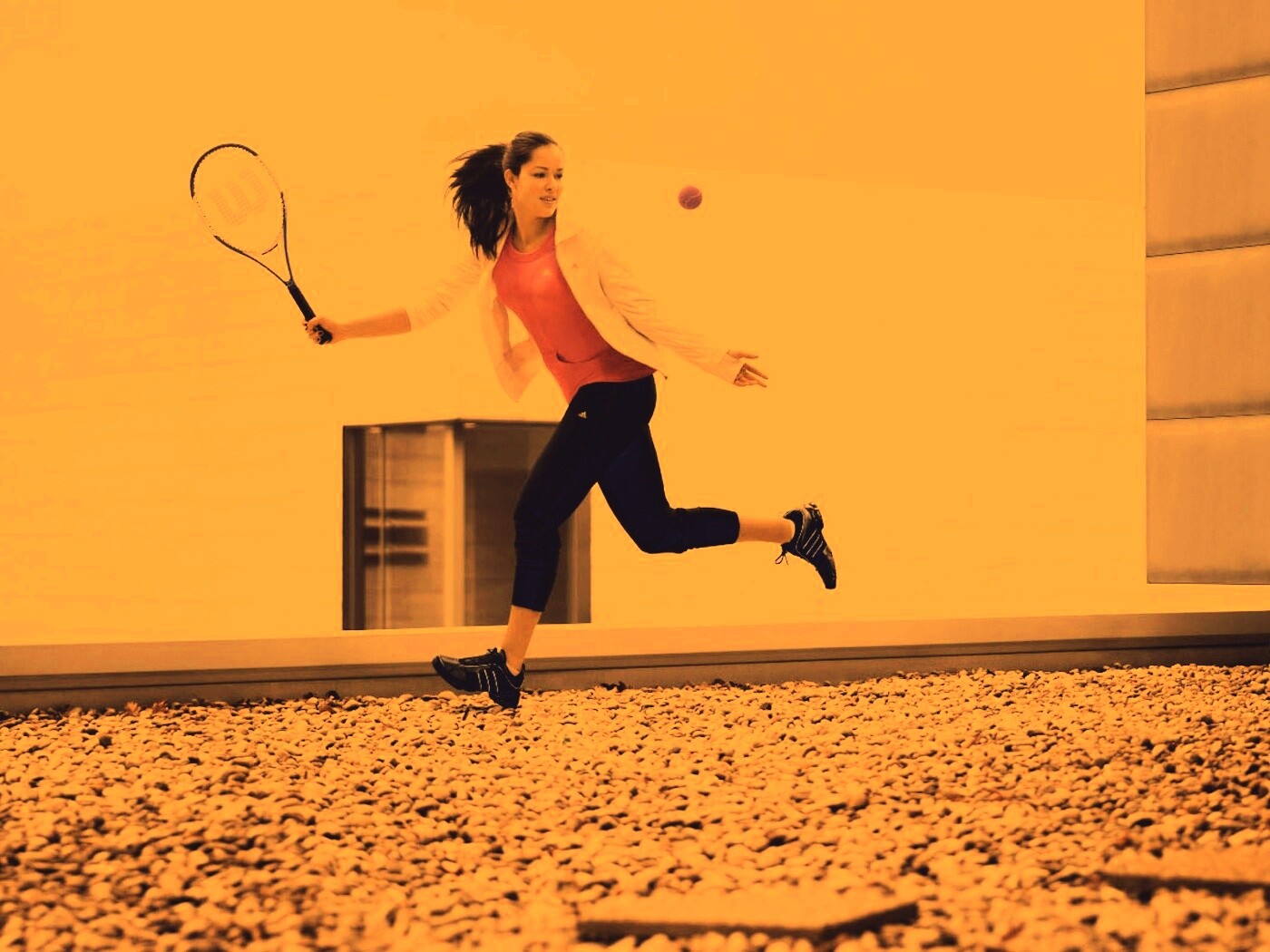 Анна Иванович обои