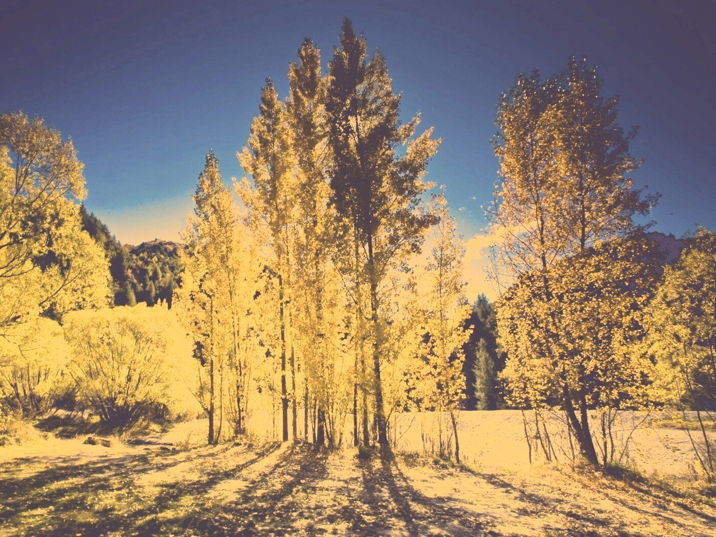 Осень в Новой Зеландии обои