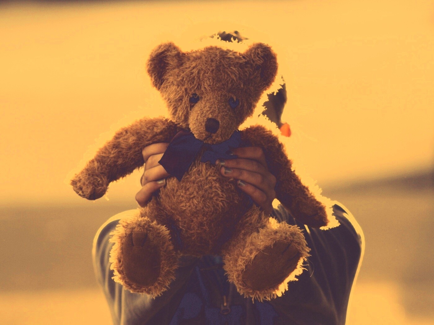 Плюшевый мишка обои