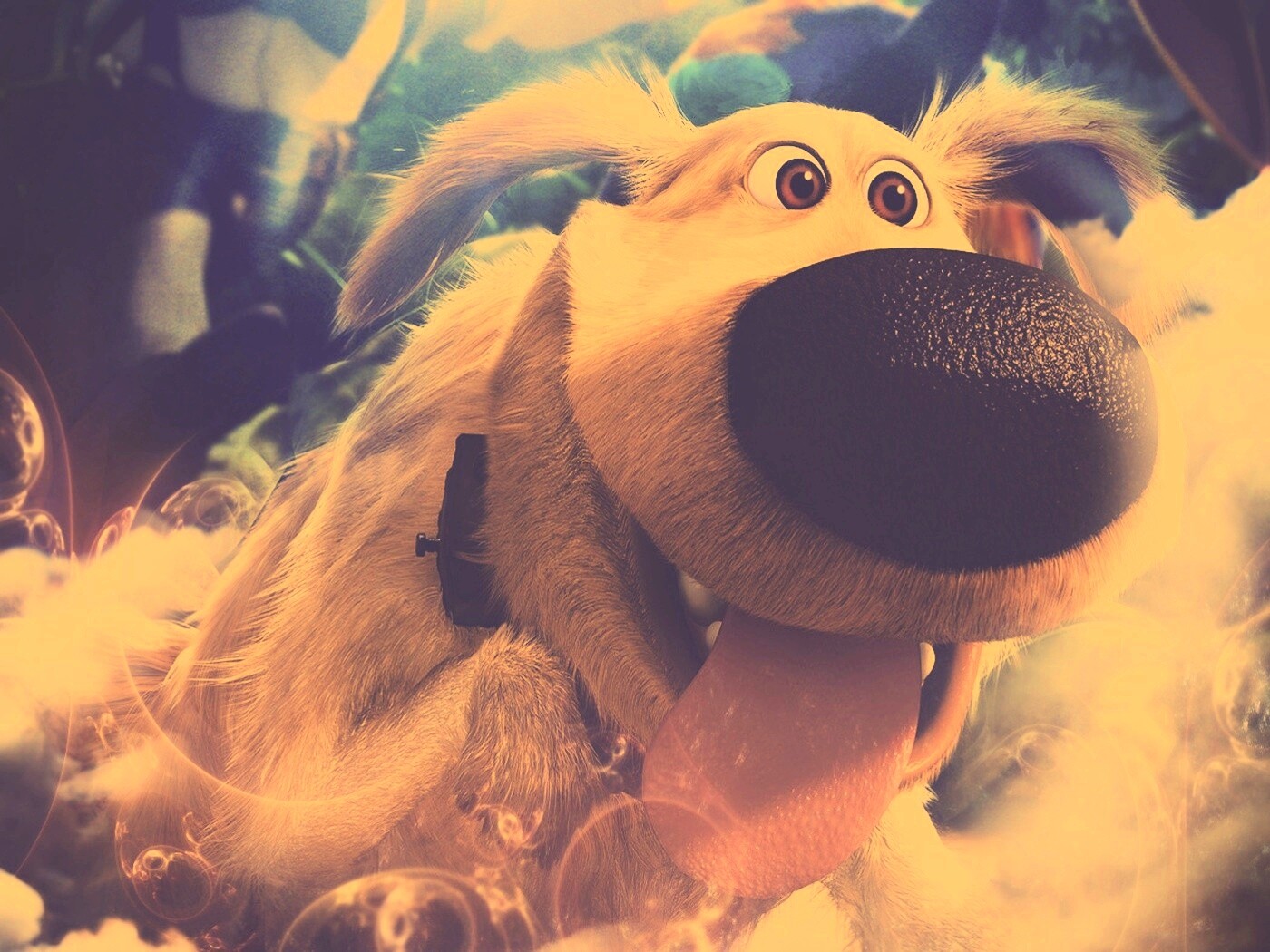 Собака из мультфильма Up обои