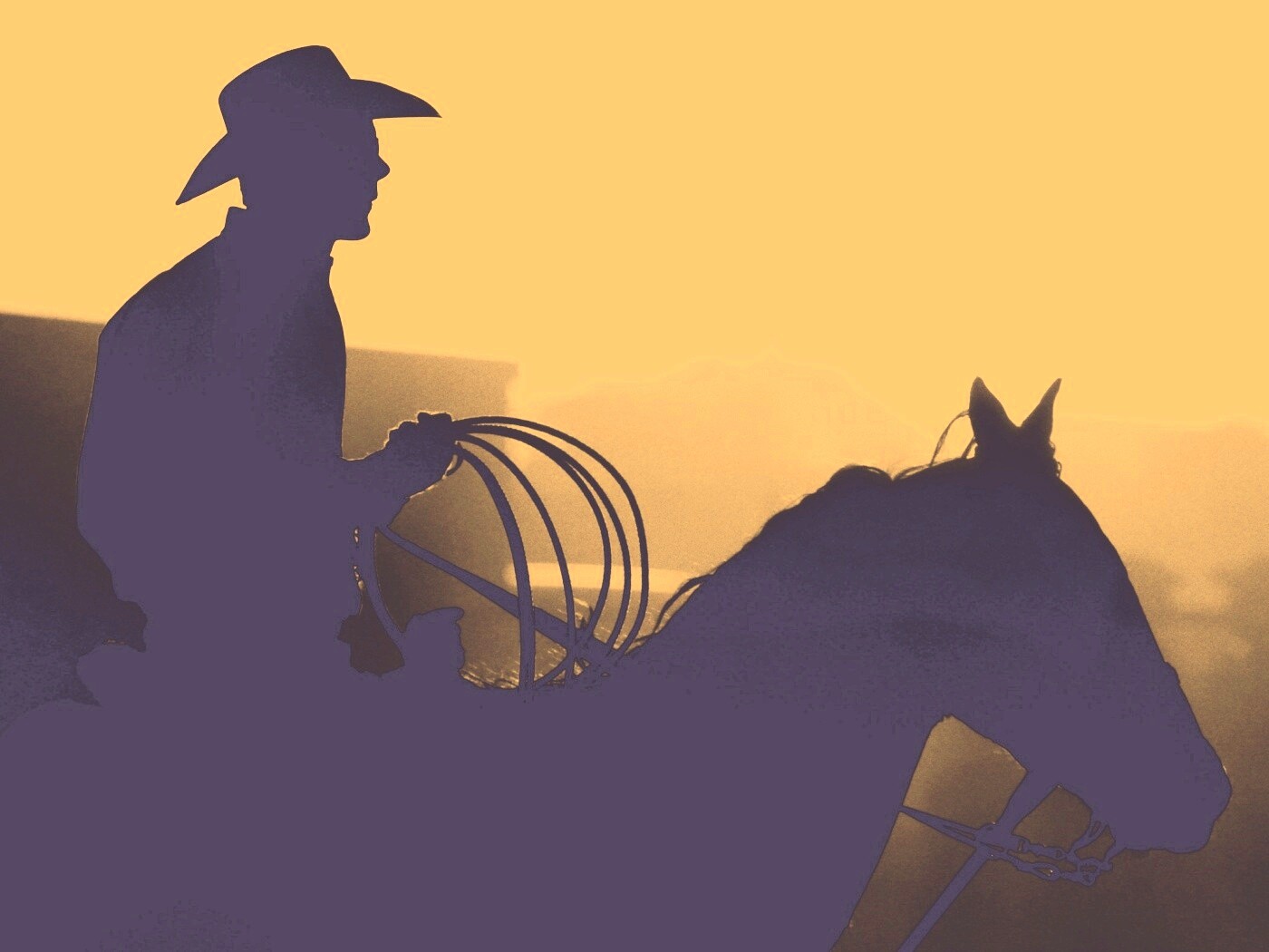 Ковбой с лассо на коне обои