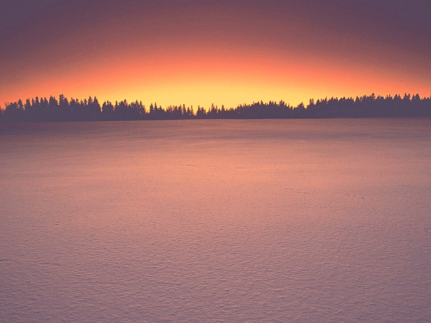 Восход над заснеженным лесом обои