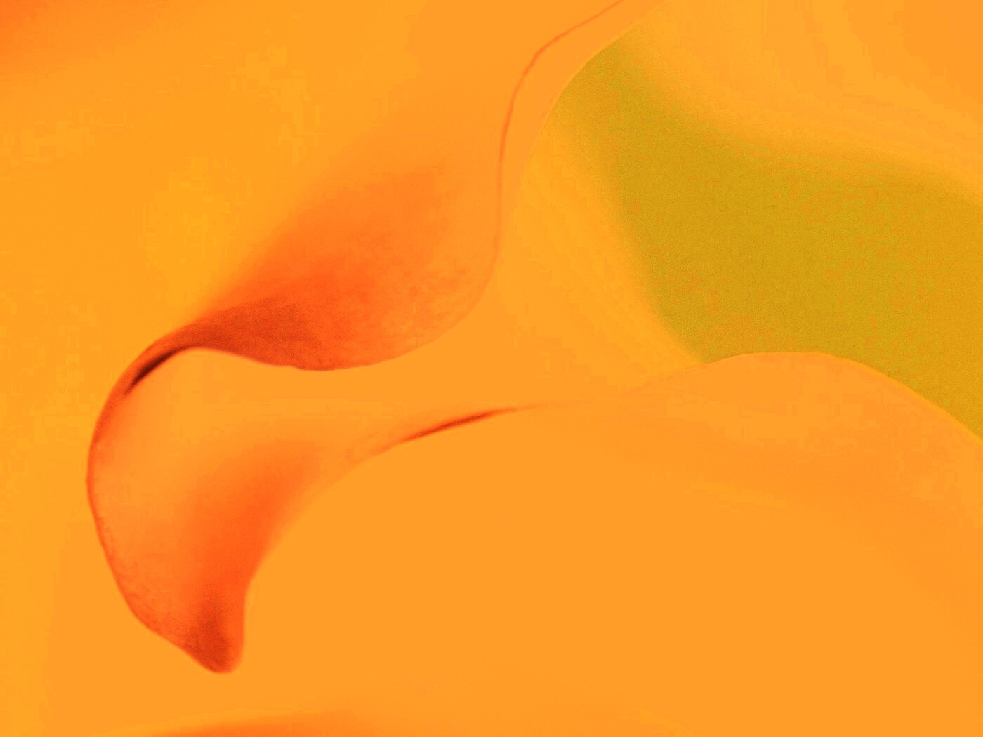 Оттенки природы обои