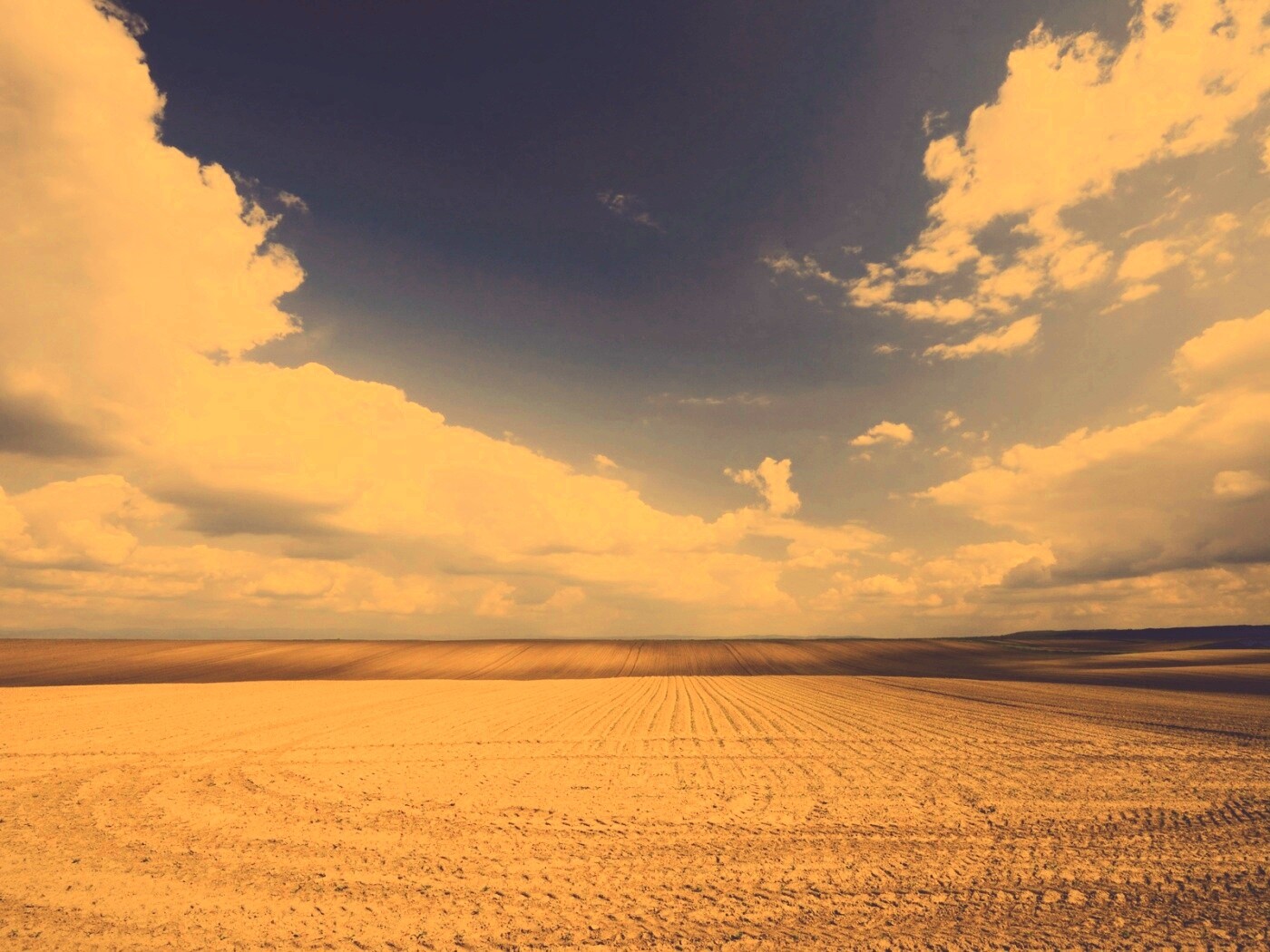 Незасеянное поле обои