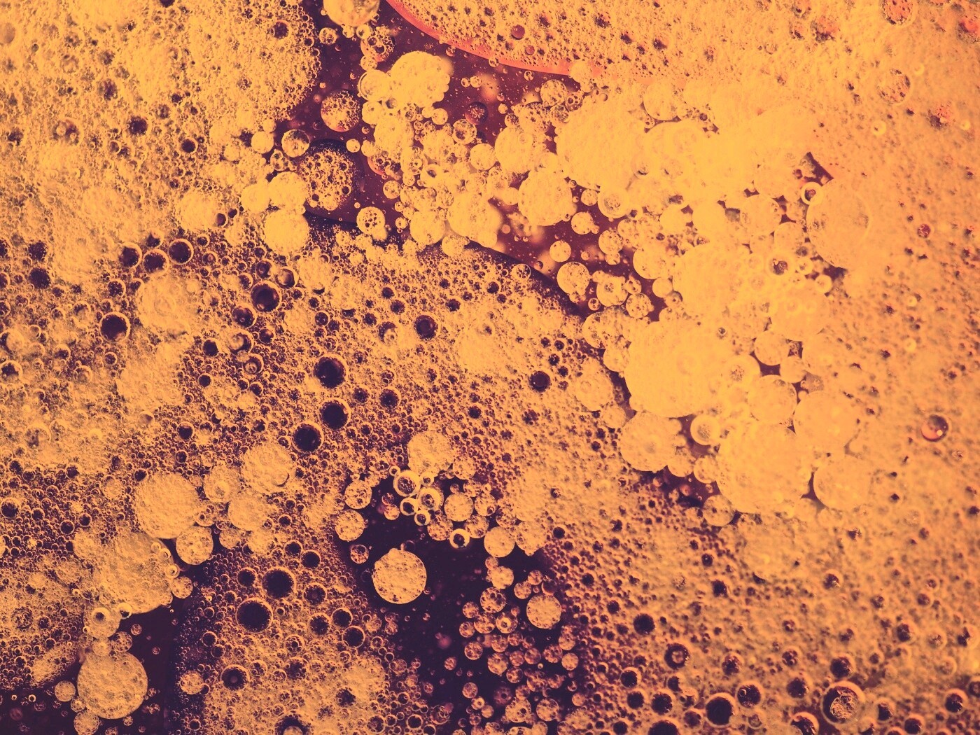 Реакция Вассермана в фиолетовых тонах обои